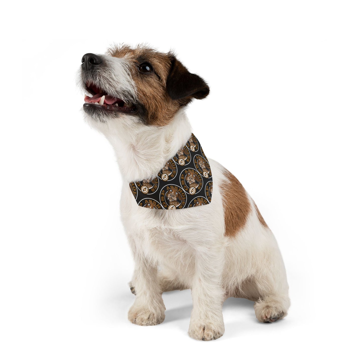 GSP AH Bandana Collar
