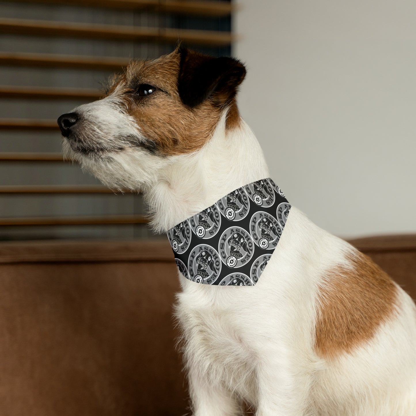 GSP AH Bandana Collar Black