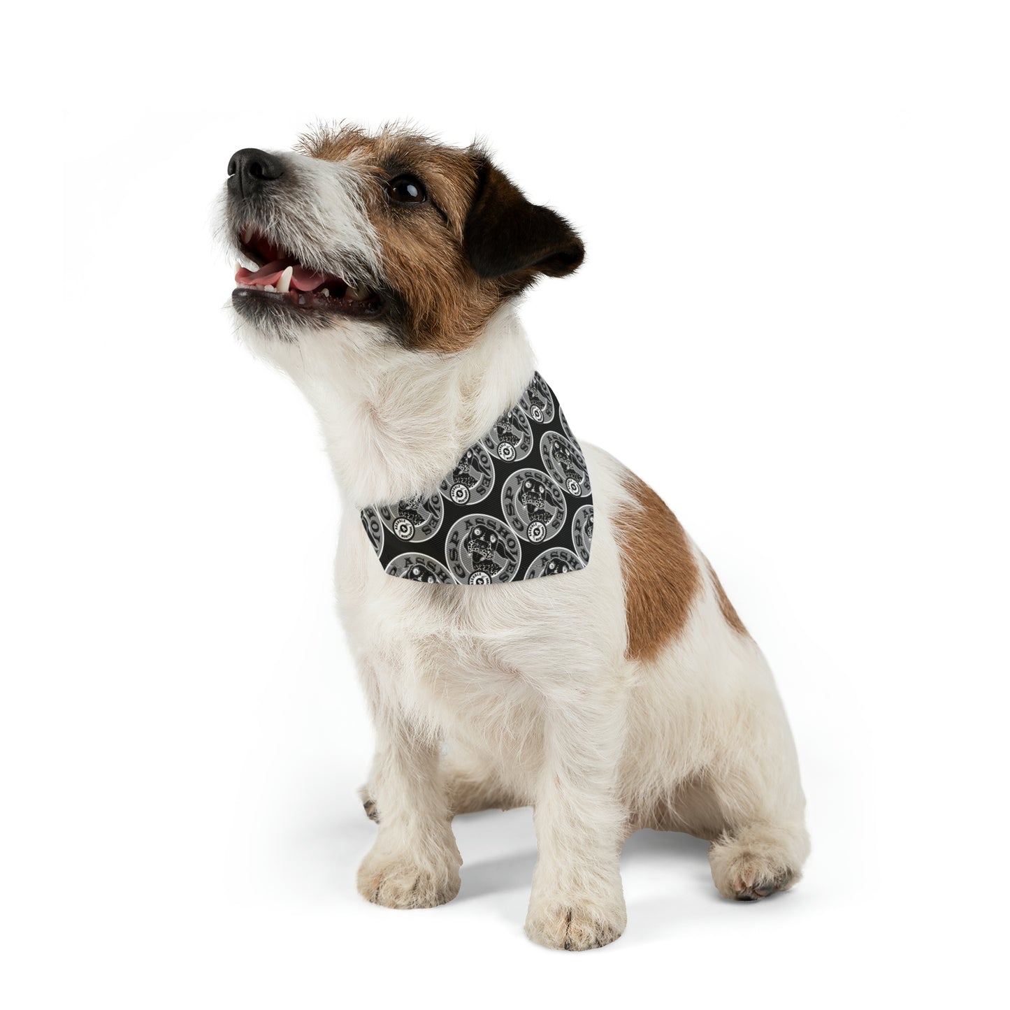 GSP AH Bandana Collar Black